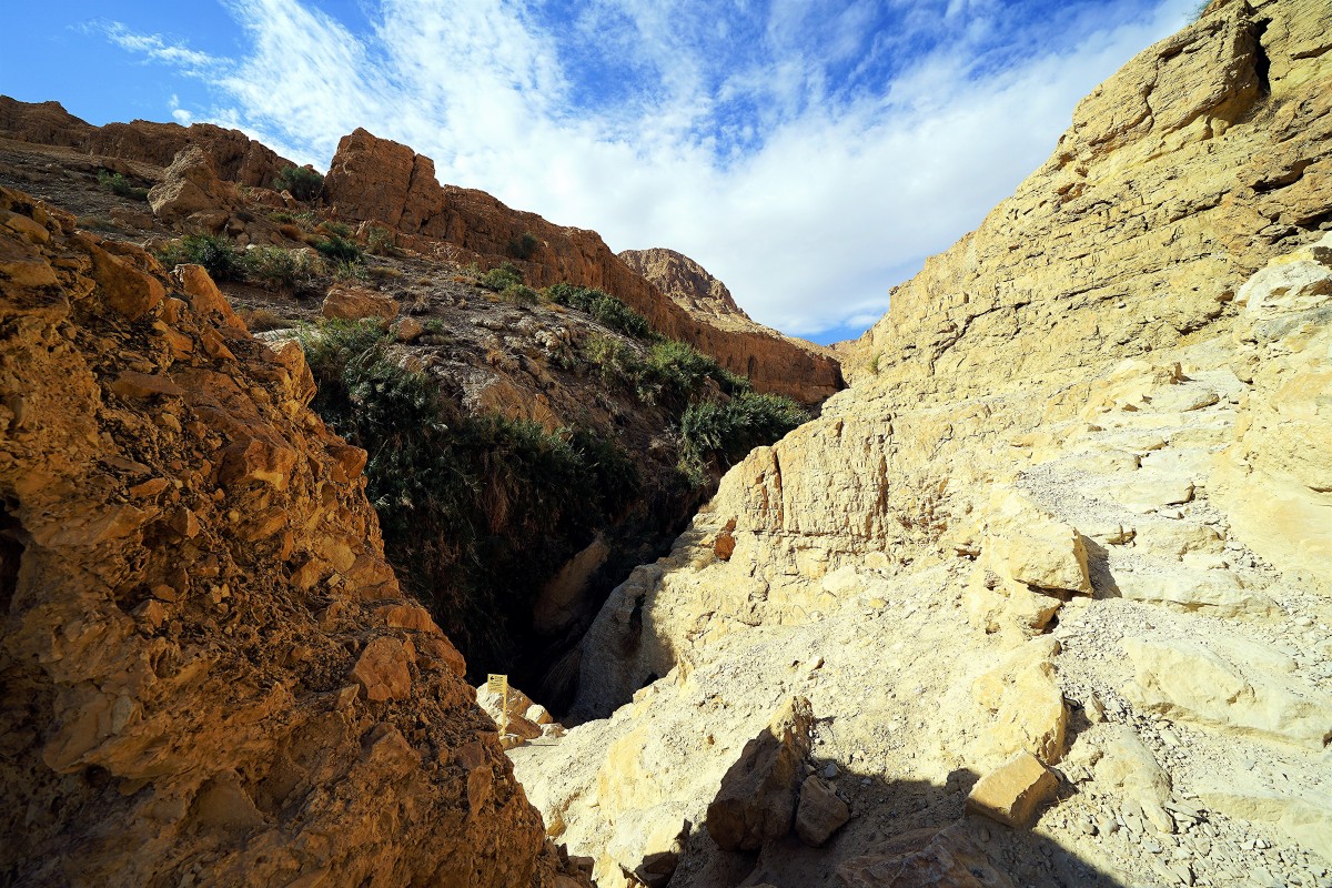 Zdjęcia: Ein Gedi, Morze Martwe, Bogactwo form i barw, IZRAEL Zdjęcia: Ein Gedi, Morze Martwe, Bogactwo form i barw, IZRAEL