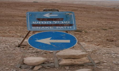 Zdjecie IZRAEL / Morze Martwe / Masada / wejcie na Masade