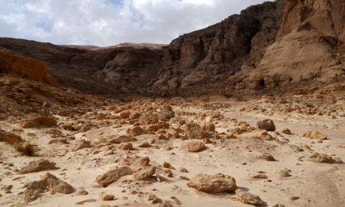 Zdjcie IZRAEL / - / Negev Desert / pustynia Negev