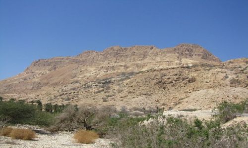 Zdjęcie IZRAEL / Morze Martwe / Ein Gedi / Park Narodowy Ein Gedi