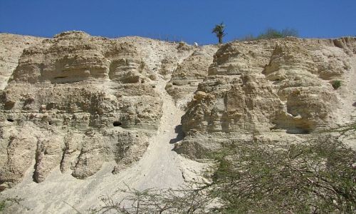 Zdjęcie IZRAEL / Morze Martwe / Ein Gedi / Park Narodowy Ein Gedi