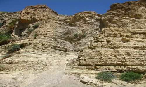 Zdjęcie IZRAEL / Morze Martwe / Ein Gedi / Park Narodowy Ein Gedi