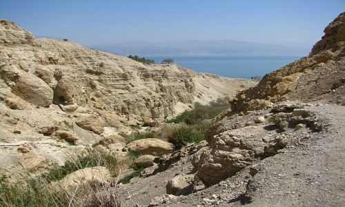 Zdjęcie IZRAEL / Morze Martwe / Ein Gedi / Park Narodowy Ein Gedi
