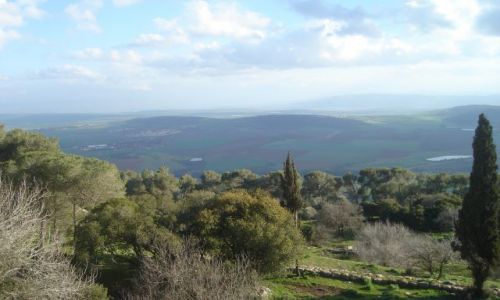 Zdjecie IZRAEL / - / Tabor / Ziemia wita
