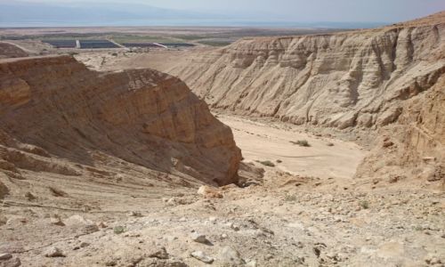 Zdjecie IZRAEL / Palestyna / putynia Negev / Ekstremalna Wyprawa