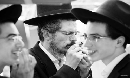 Zdjcie IZRAEL / Tel Awiw / Bnei Brak / Na bazarze 4 gatunkw przed witami Sukkot