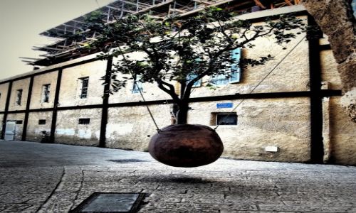 Zdjecie IZRAEL / Tel Awiw - Jafa / Jafa / A midzy murami starej Jafy...