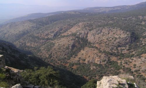 Zdjecie IZRAEL / Wzgrza Golan / Wzgrza Golan / Wzgrza Golan