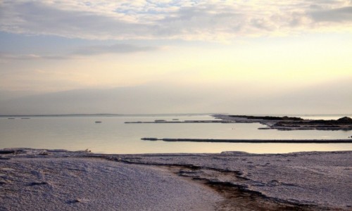 Zdjecie IZRAEL / Dead Sea / Ein Bokek / Morze Martwe