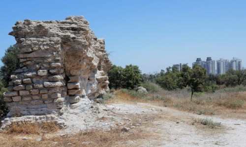 Zdjcie IZRAEL / Dystrykt Poudniowy / Aszkelon / Staroytne ruiny  i blokowisko