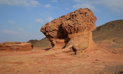 Zdjcie IZRAEL / Eilat / Timna Park / Grzybek
