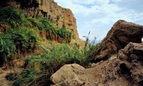 IZRAEL / Morze Martwe / Ein Gedi / Okolice wodospadu Davida