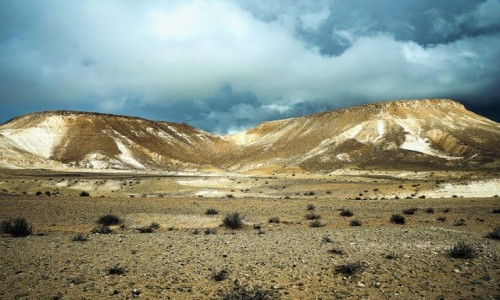 Zdjcie IZRAEL / Mitzpe Ramon / Park Narodowy Avdat / Barwy pustyni