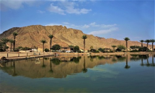Zdjcie IZRAEL / Eilat / Timna Park / Oaza