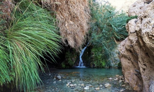 IZRAEL / Morze Martwe / Ein Gedi / Zejście do jaskini