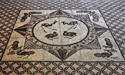 Zdjecie IZRAEL / Morze Martwe / Ein Gedi / Mozaiki ze starej synagogi