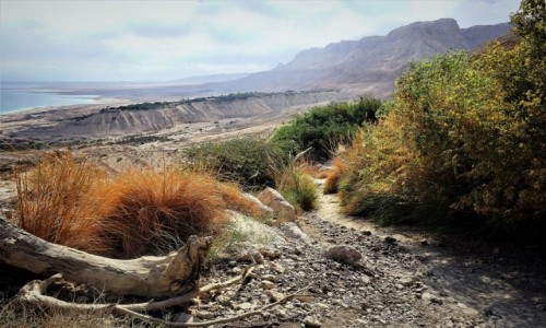 Zdjcie IZRAEL / Morze Martwe / Ein Gedi / Na szlaku