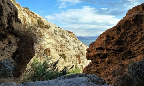 Zdjcie IZRAEL / Morze Martwe / Ein Gedi / Nad strumieniem Nahal David