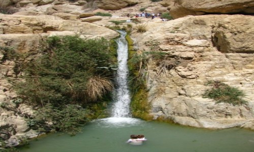Zdjcie IZRAEL / Pustynia Judzka / Morze Martwe / P.N. Ein Gedi