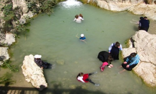 Zdjecie IZRAEL / Pustynia Judzka / Morze Martwe / P.N. Ein Gedi