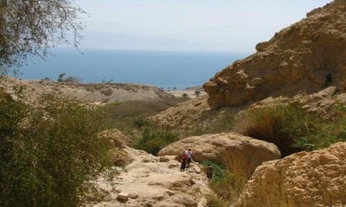 Zdjcie IZRAEL / Pustynia Judzka / Pustynia Judzka / P.N. Ein Gedi