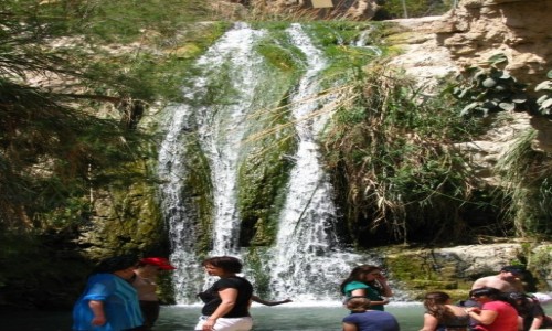Zdjcie IZRAEL / Pustynia Judzka / Pustynia Judzka / P.N. Ein Gedi