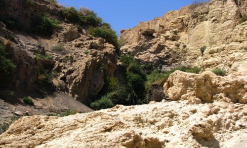 Zdjęcie IZRAEL / Pustynia Judzka / Pustynia Judzka / P.N. Ein Gedi