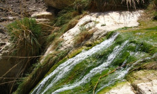 Zdjęcie IZRAEL / Pustynia Judzka / Pustynia Judzka / P.N. Ein Gedi