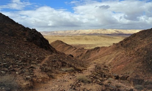 Zdjcie IZRAEL / Pustynia Negew / Mitzpe Ramon / Na czerwonym szlaku
