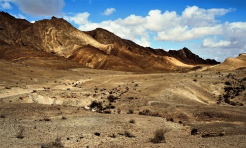 Zdjcie IZRAEL / Pustynia Negew / Mitzpe Ramon / Na rozwidleniu drg