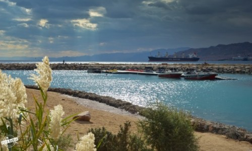 Zdjcie IZRAEL / Dystrykt Poudniowy / Eilat /  Plaa Pnocna, Eilat