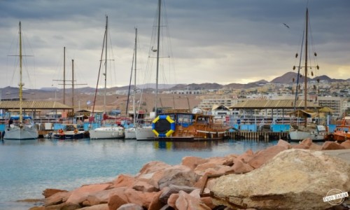 Zdjecie IZRAEL / Dystrykt Poudniowy / Eilat / Eilat