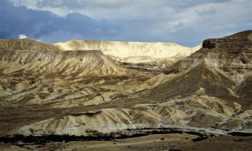 Zdjcie IZRAEL / Pustynia Negew / Mitzpe Ramon / Barwy i formy