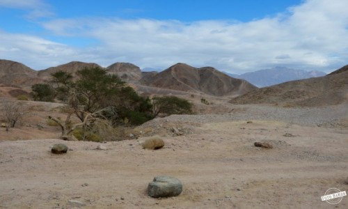 Zdjecie IZRAEL / Dystrykt Poudniowy / Eilat / Negew