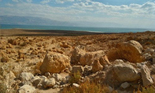 Zdjęcie IZRAEL / Palestyna / kalya / more martwe w tle