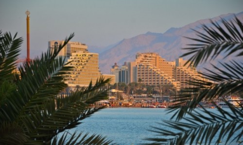 Zdjecie IZRAEL / Dystrykt Poudniowy / Eilat / Za Grami, Za Palmami