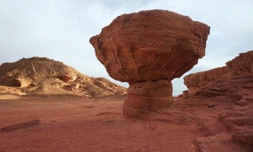 Zdjcie IZRAEL / Eilat / Timna Park / Dolina grzybw