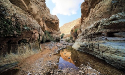 Zdjecie IZRAEL / Ein Gedi / Wadi Arugot / W korycie rzeki