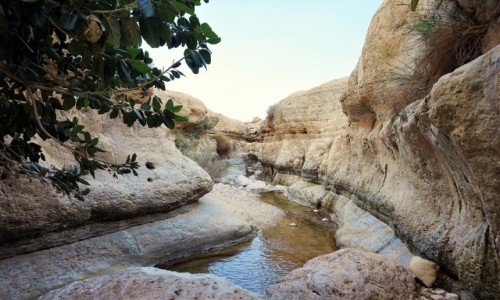 Zdjcie IZRAEL / Morze Martwe / Ein Gedi / Wadi Arugot