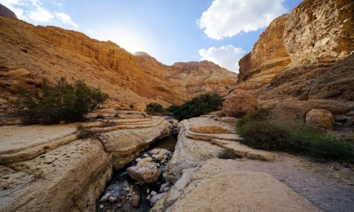 Zdjcie IZRAEL / Morze Martwe / Wadi Arugot / W korycie rzeki
