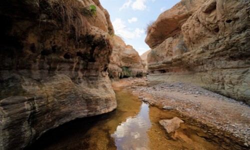 Zdjcie IZRAEL / Morze Martwe / Ein Gedi / Kanion rzeki Arugot
