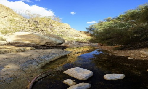 Zdjcie IZRAEL / Morze Martwe / Ein Gedi / Wadi Arugot