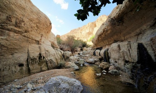 Zdjęcie IZRAEL / Morze Martwe / Wadi Arugot / Słońce w korycie