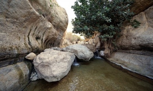 Zdjcie IZRAEL / Morze Martwe / Wadi Arugot / ...i trzeba byo zdj buty...