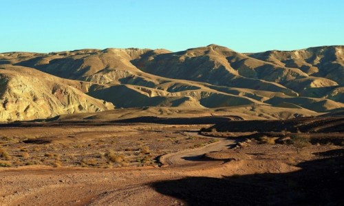 Zdjcie IZRAEL / Eilat / . / O poranku