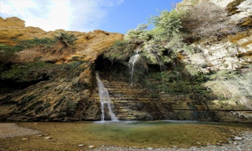 Zdjcie IZRAEL / Morze Martwe / Ein Gedi / Wodospad Dawida (grny)
