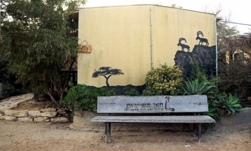 Zdjcie IZRAEL / Mitzpe Ramon / . / aweczka