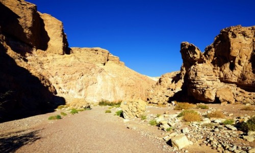 Zdjcie IZRAEL / Eilat / Czerwony kanion / Powrt