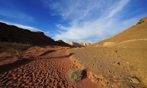 Zdjcie IZRAEL / Eilat / Timna Park / lady