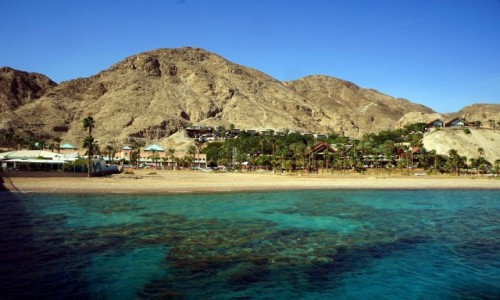 Zdjcie IZRAEL / Eilat / Marine Park / Dwa bkity